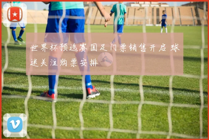 世界杯预选赛国足门票销售开启 球迷关注购票安排