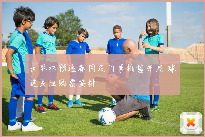世界杯预选赛国足门票销售开启 球迷关注购票安排