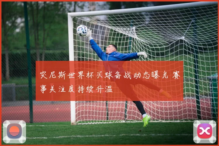 突尼斯世界杯买球备战动态曝光 赛事关注度持续升温