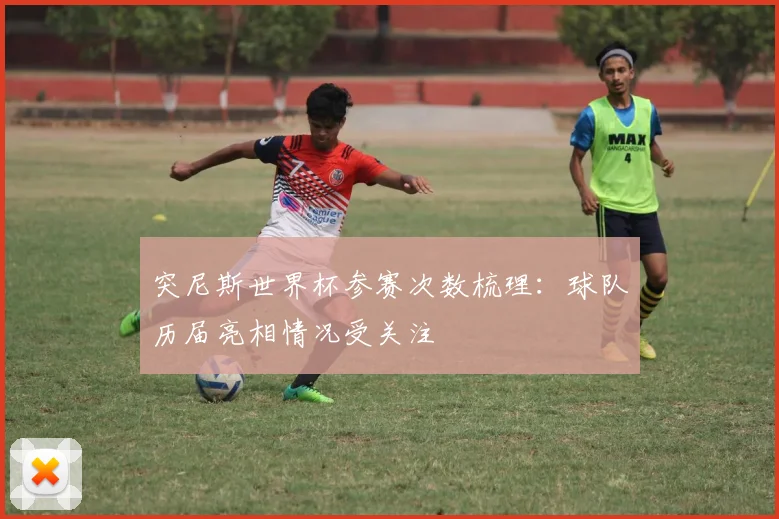 突尼斯世界杯参赛次数梳理:球队历届亮相情况受关注