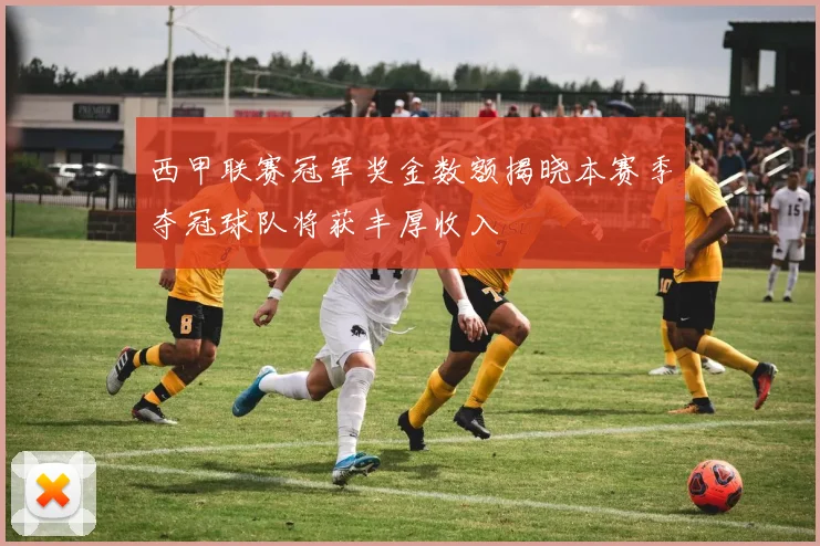 西甲联赛冠军奖金数额揭晓本赛季夺冠球队将获丰厚收入