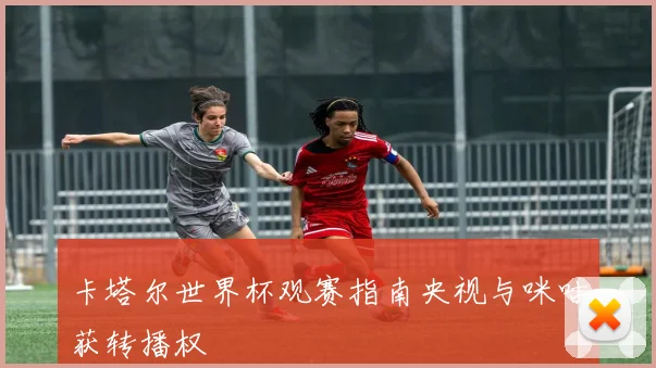 卡塔尔世界杯观赛指南央视与咪咕获转播权